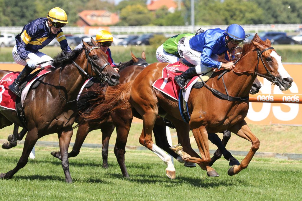 Horse Racing Betting Sites Offering Free Bets & Promotions